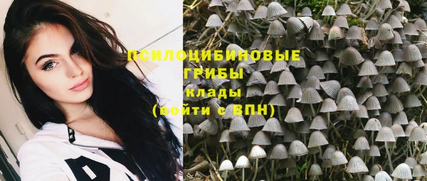 винт Алзамай