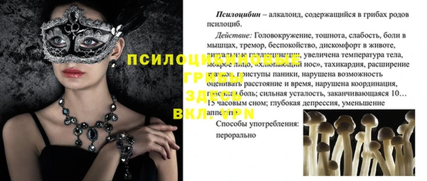 винт Алзамай