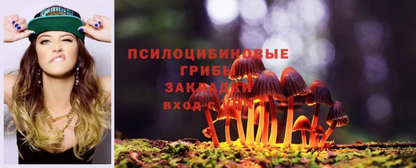 винт Алзамай