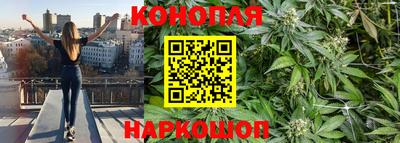 бошки Волгодонск
