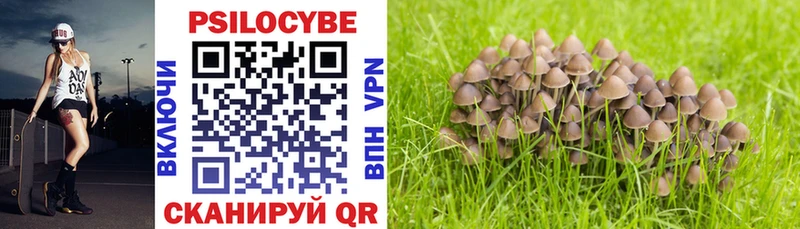 Псилоцибиновые грибы Cubensis  Белая Калитва 