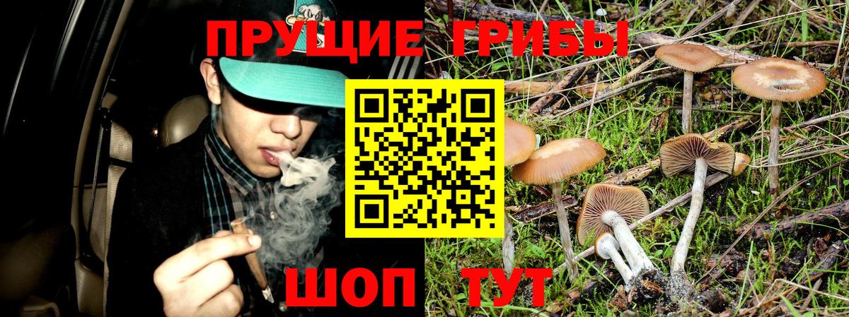 сколько стоит  Галлюциногенные грибы ЛСД  Белая Калитва  Вход с VPN  Галлюциногенные грибы Magic Shrooms 