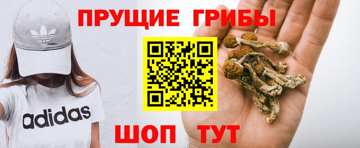 Псилоцибиновые грибы мухоморы Белая Калитва